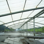 Canopy Membrane Waterproof: Sistem Kedap Air dan Drainase